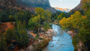 Corriente de agua fluyendo durante el día, representando la capacidad de la naturaleza para autorregularse y mantener el equilibrio. 