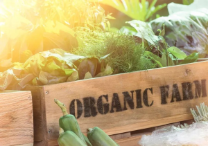 Alimentos ecológicos