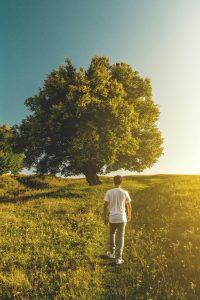 Un hombre camina hacia la luz del sol filtrándose a través de un árbol en medio de la naturaleza. Esta imagen simboliza el renacimiento espiritual y el crecimiento personal.