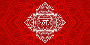 El chakra raíz, o Muladhara en sánscrito. Es el primer chakra en el sistema energético del cuerpo humano: tu base de estabilidad y seguridad en la vida. 