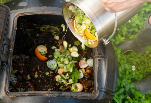 Persona realizando compostaje: práctica sostenible que ejemplifica las funciones de la ecología en la mejora del suelo y la reducción de desechos.