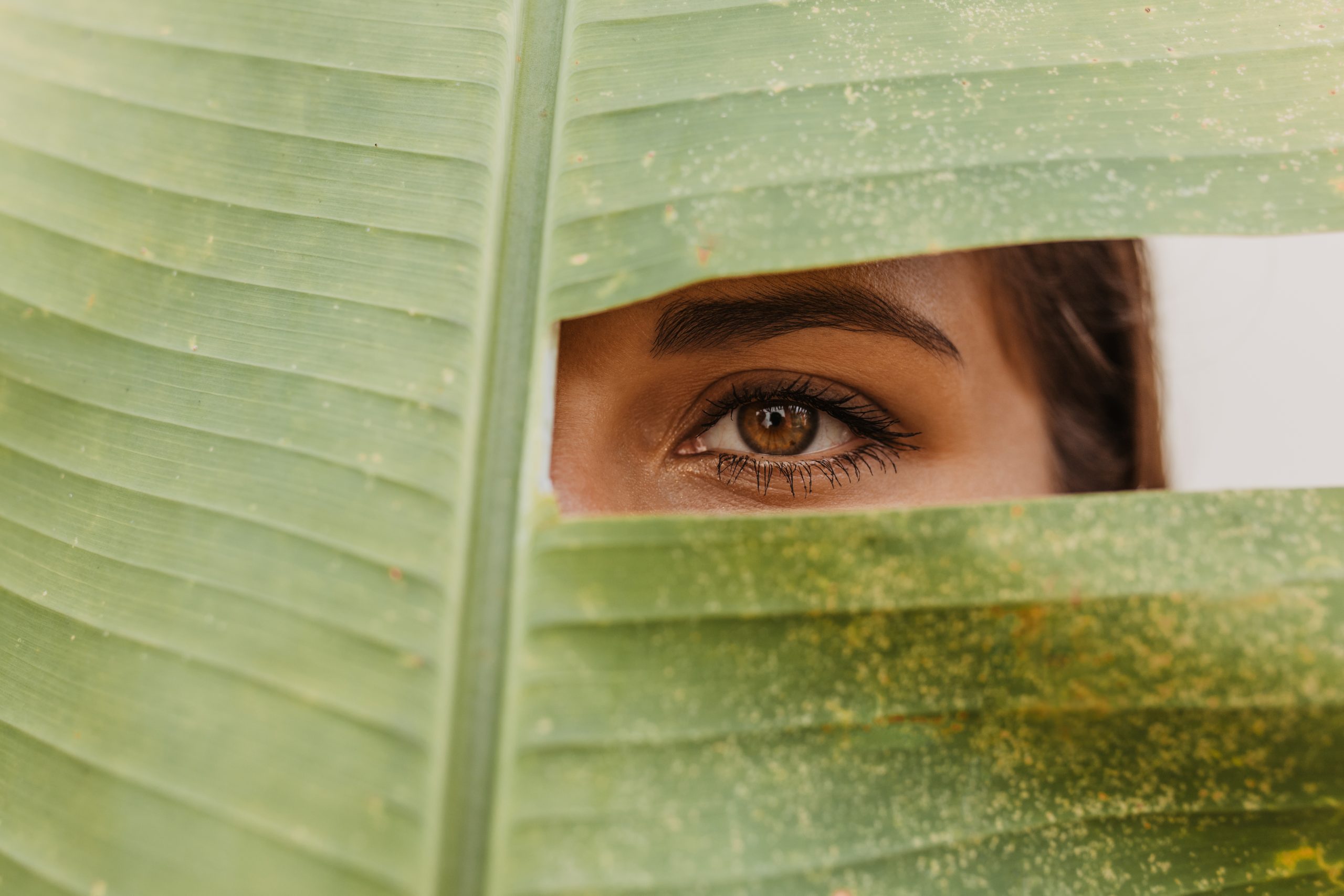 Ojo de mujer entre una hoja de árbol, simbolizando la intuición y la conexión con la sabiduría interior.