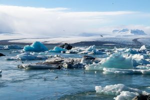 Glaciar de Islandia con aves, paisaje natural impresionante.