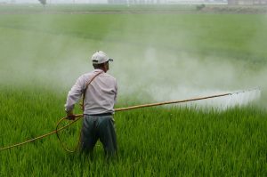 Aplicación de herbicidas en campo de agricultura convencional para el control de plagas. Conoce los riesgos para la salud y opta por alimentos ecológicos para una alimentación más segura.