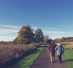 Pareja de ancianos disfrutando de un paseo en la naturaleza: una representación de la importancia de la información sobre la alimentación para una vida saludable