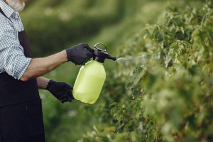 Campos de cultivo con maquinaria agrícola y aplicación de productos químicos.