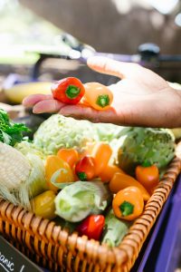 Una cesta de verduras frescas de un mercado de agricultores.