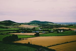 Campo de Irlanda con colores vibrantes de amarillo y verde