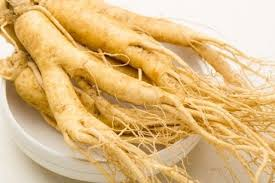 Imagen de rebanadas de ginseng, utilizado en la medicina alternativa japonesa para promover la curación y el equilibrio del cuerpo.