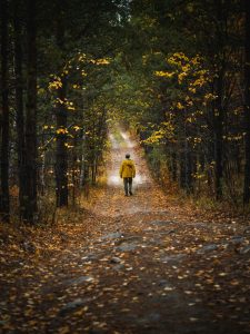 Persona caminando hacia la aceptación y la serenidad en un sendero rodeado de bosques, inspirado en las enseñanzas de Marco Aurelio.