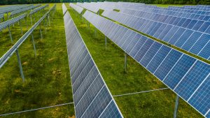 Paneles solares como símbolo de un desarrollo sostenible para la preservación de la vida en los ecosistemas terrestres.
