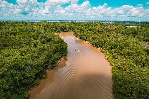 Selva amazónica con un río serpenteante en su centro, mostrando la exuberante vegetación y la biodiversidad de este vasto ecosistema.